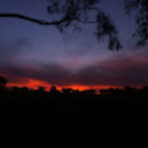 Meet your Posher, Aelaf